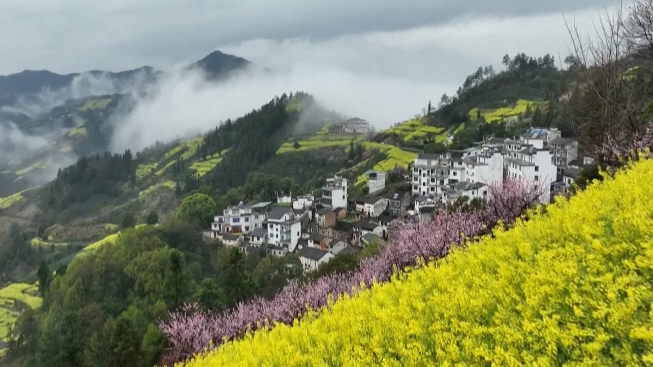 Flowers bloom across China as spring arrives