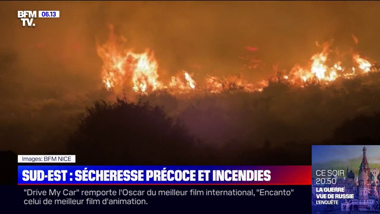 Avec une sécheresse précoce, les incendies déjà de retour dans les Alpes-Maritimes