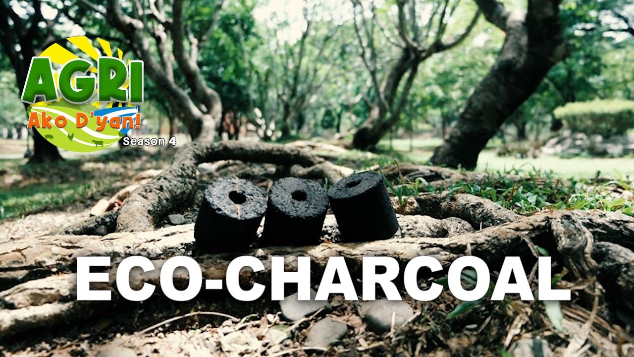Eco-Charcoal