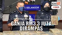 Sindiket seludup dadah dari Thailand tumpas, RM3.3 juta ganja dirampas