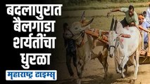तब्बल ६०० बैलजोड्या आणि हजारो प्रेक्षकांच्या उपस्थितीत पार पडली बैलगाडा शर्यत