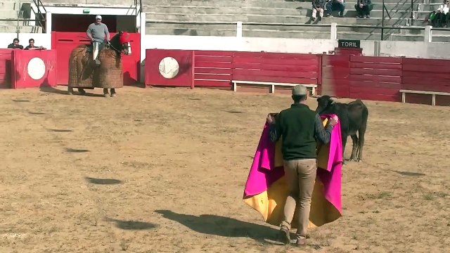 27.03.2022 Plaisance du Gers Elevage Du Lartet Tienta 1e Sortie Dorian Canton