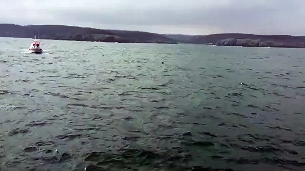 Milli Savunma Bakanlığı açıkladı! Yeni mayın tespit edildi: SAS timleri harekete geçti