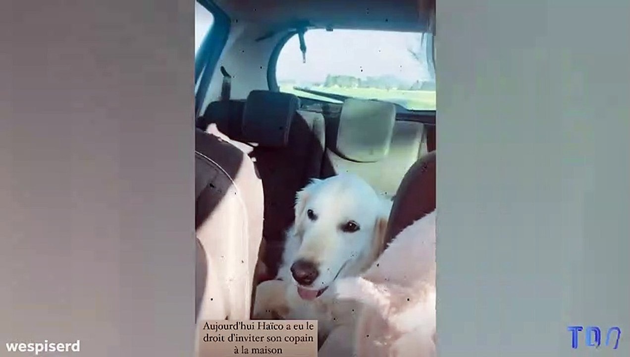 Delphine Wespiser nous présente son "boys band"