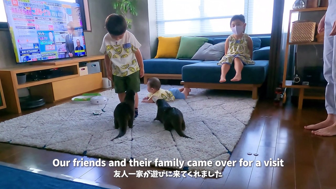 아기를 처음 만난 수달