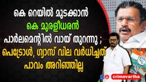 കെ റെയിൽ മുടക്കാൻ കെ മുരളീധരൻ പാർലമെന്റിൽ വായ് തുറന്നു