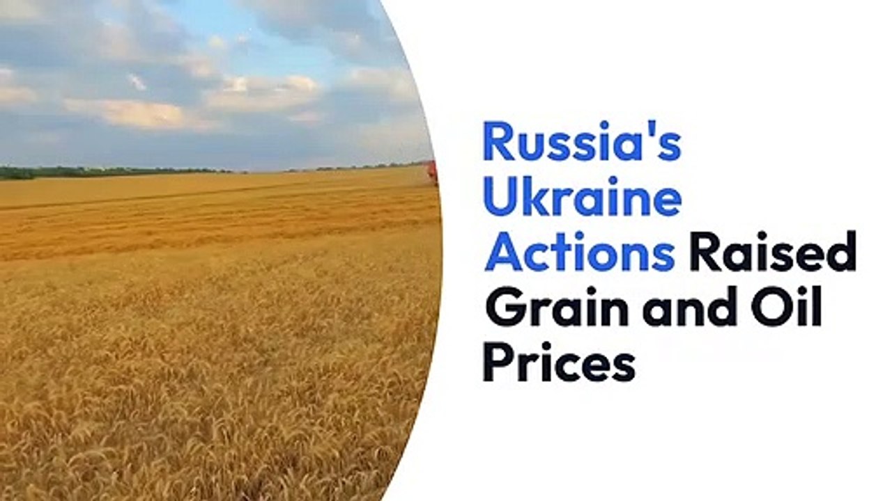 Roman Zenon Dawidowicz | Russian aggression on Ukraine has pushed up global grain and oil prices.