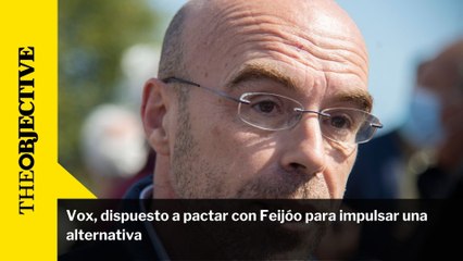 Vox, dispuesto a pactar con Feijóo para impulsar una alternativa