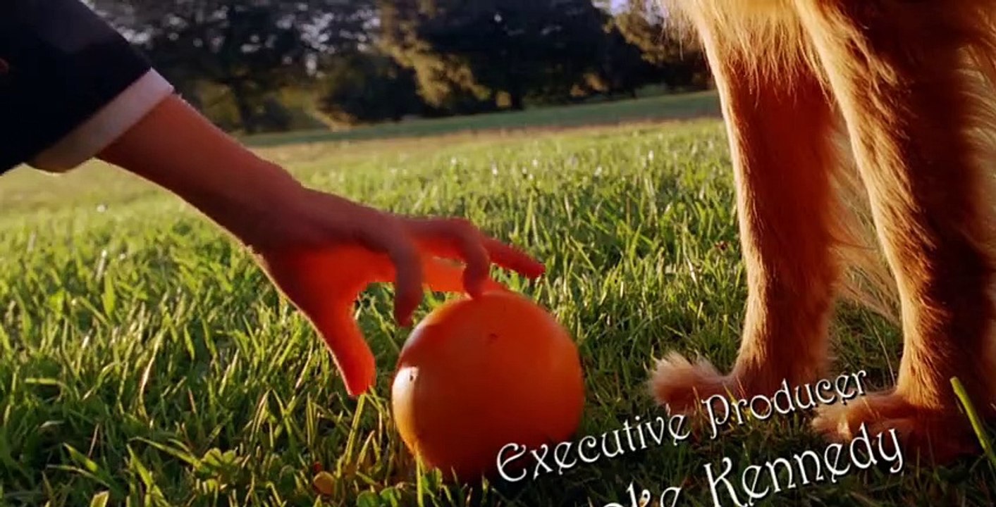 Pushing Daisies S01 E04