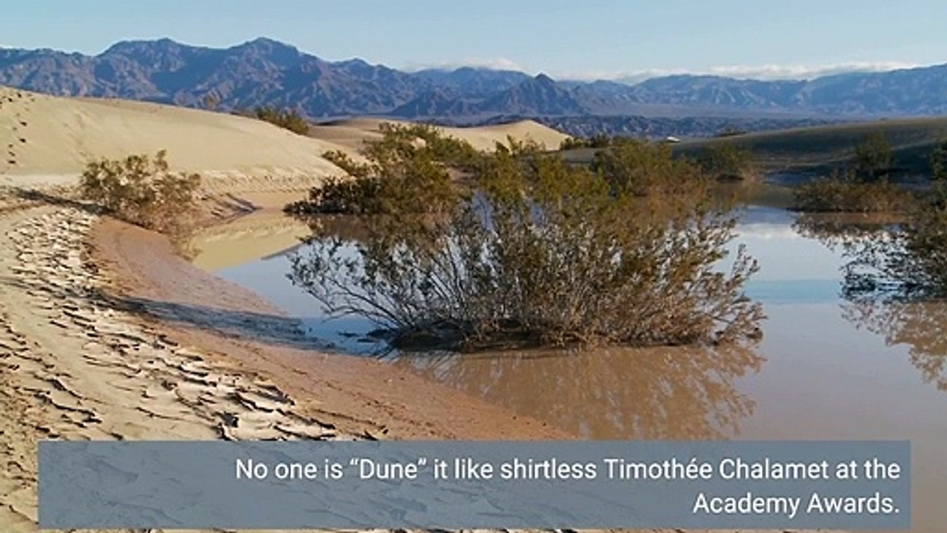 timothee-chalamet-dune-shirtless-yavu-de