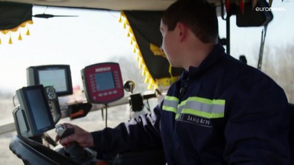 Frühling im Krieg: Was passiert mit der Ernte in der Ukraine?