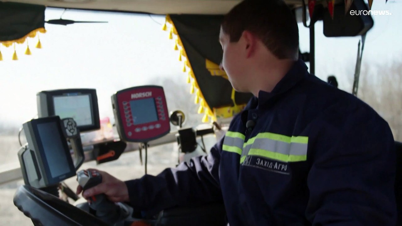 Frühling im Krieg: Was passiert mit der Ernte in der Ukraine?