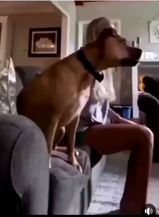 I can't stop watching this! it's Hysterically funny! Turn on your sound!