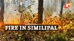 Forest fire In Similipal Biosphere Reserve