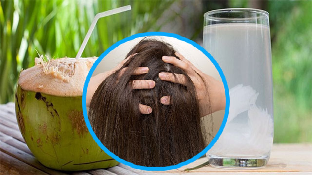 बालों मे नारियल पानी लगाने से क्या होता है ? Hair me Nariyal Pani