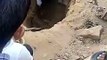 Video: गढ्ढे में गिरे सांड को सकुशल निकाला, तीन घंटे चला रेस्क्यू ऑपरेशन