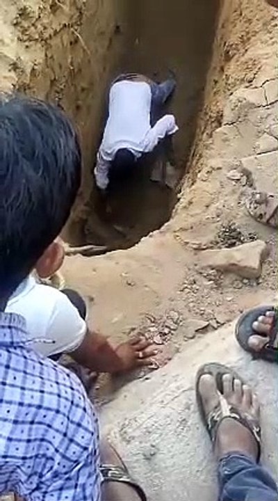 Video: गढ्ढे में गिरे सांड को सकुशल निकाला, तीन...