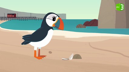 سبب تعرقل هجرة طيور البفن