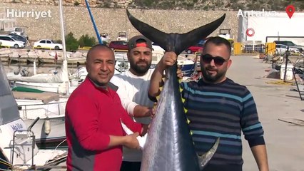 Oltanın ucunda 100 kg'lık orkinosu görünce: 'Abi, efsane'