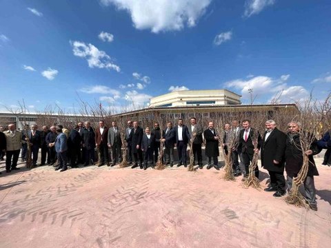 Çorum'da süne ile mücadele çerçevesinde 7 bin 300 dut fidanı dağıtıldı