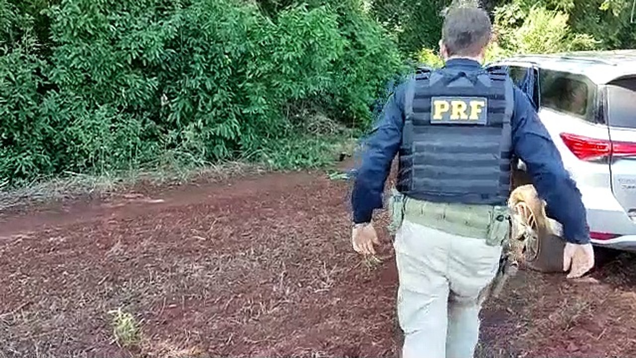PRF apreende veículo carregado com cigarros contrabandeados em Farol
