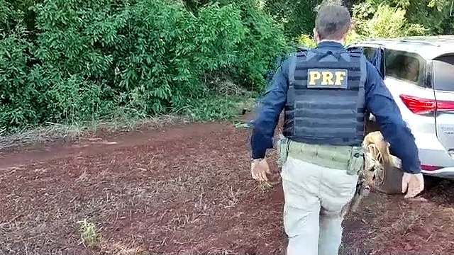 PRF apreende veículo carregado com cigarros contrabandeados em Farol