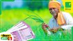 Kisan Bulletin - Kisan जो करते है Duck Farming उनके लिए खास Launch हुई पहली Made In India बतख प्लेग वैक्सीन | | IVRI | Green TV