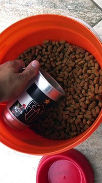 Fake Meal Prep Fools Pup