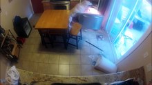 Deixou o seu labrador sozinho em casa e a câmara a gravar...
