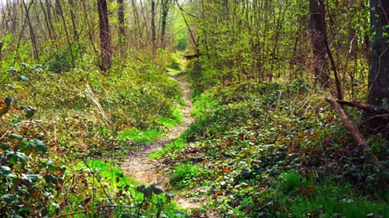 Un aire de printemps