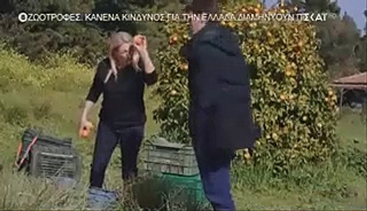 ΜΟΛΙΣ ΧΘΕΣ - ΕΠΕΙΣΟΔΙΟ 116
