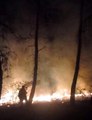 Tekirdağ'da çıkan orman yangınında 10 dönüm alan kül oldu