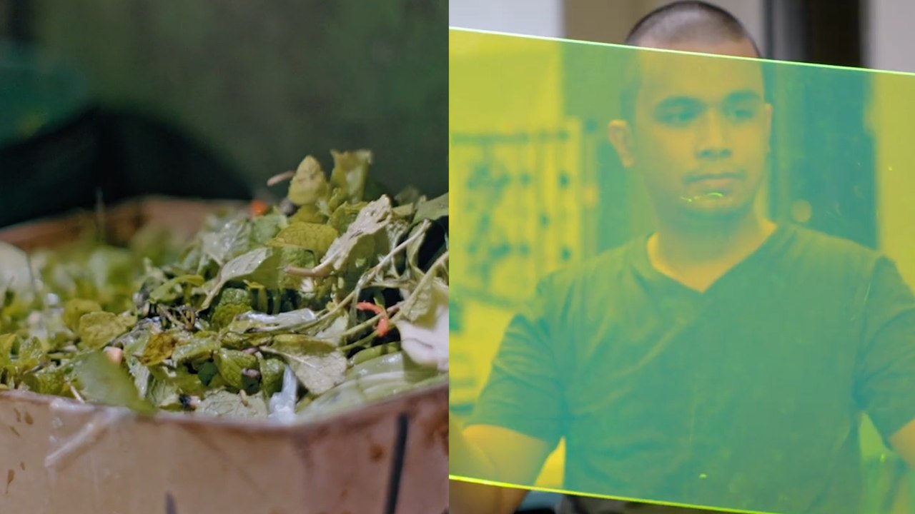 Solar Panels Made From Crops Generate Energy Without Direct Sunlight