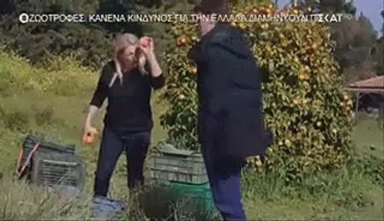 ΜΟΛΙΣ ΧΘΕΣ - ΕΠΕΙΣΟΔΙΟ 116