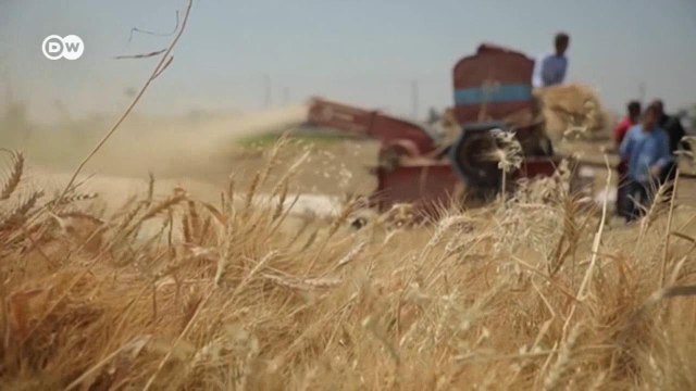 Посевная на юге Украине: из-за войны голод может затронуть 100 млн человек в мире (28.03.2022)