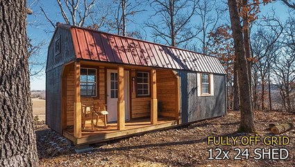 From Abandoned Shed To Cozy Tiny House