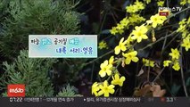 [날씨] 하늘 맑고 공기질 깨끗…큰 일교차 유의
