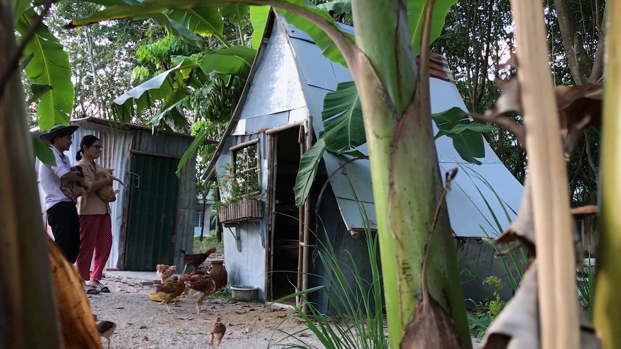 How To Build A Fairy Tale House For Chicken  From Bamboo And Scrap Metal Sheets | DIY Chicken House