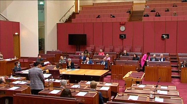 Senator Concetta Fierravanti-Wells - Illawarra Mercury - March 2022