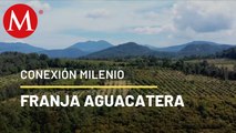 Aguacateros y su agenda verde | Conexión Milenio