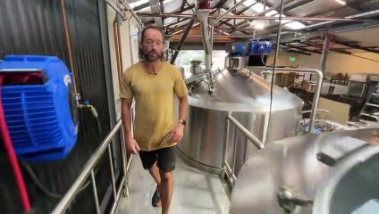 Reub's Gold big brew - Illawarra Mercury - March 2022