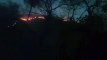सरिस्का के जंगल में लगी आग हुई बेकाबू, 10 किलोमीटर के क्षेत्र में फैली, आग पर काबू पाने के लिए आएंगे वायुसेना के हैलीकॉप्टर