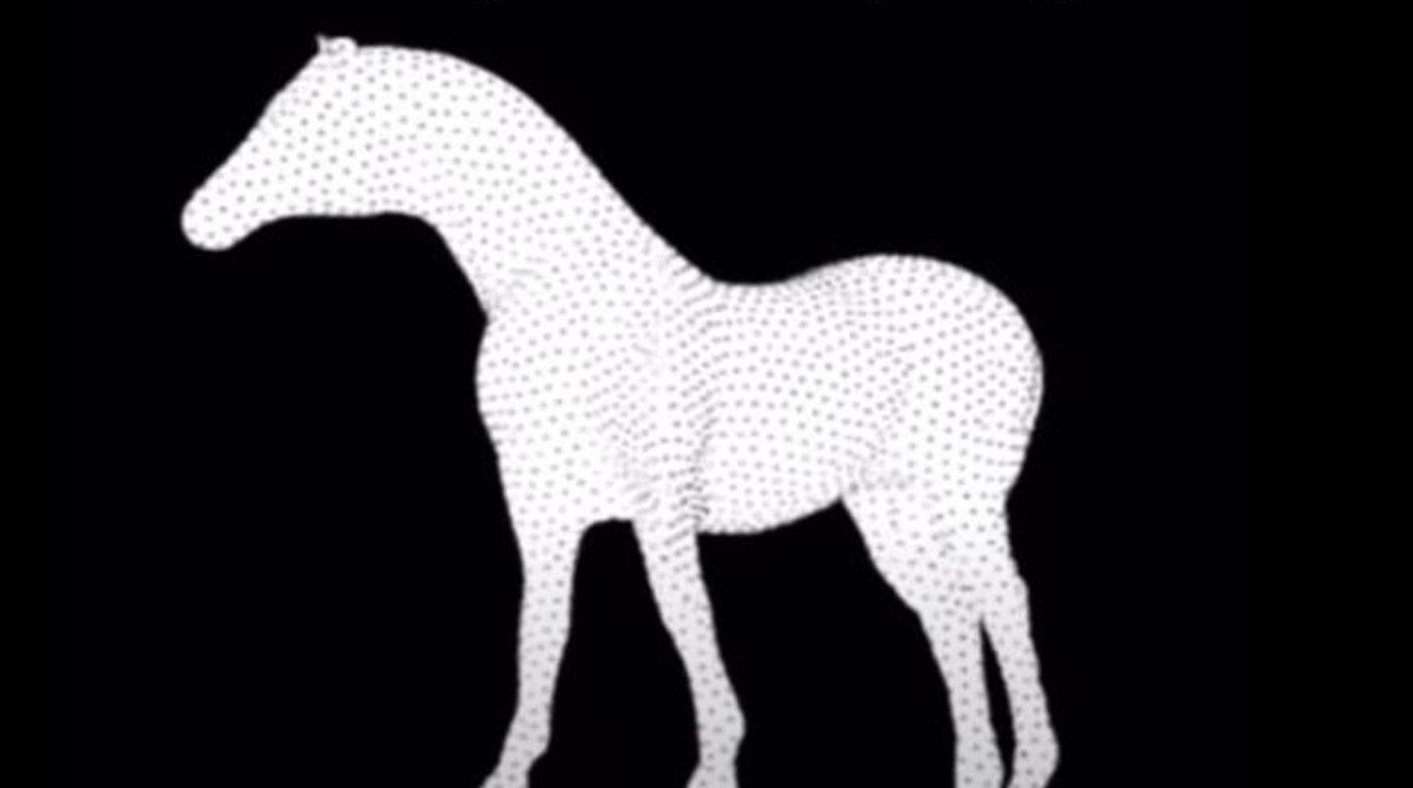 Illusion d'optique qui rend fou : dans quel sens tourne le cheval...