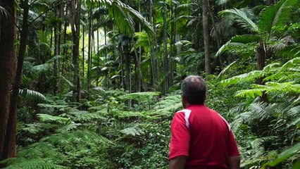 Willowie, Numinbah Valley | March 2022 | Queensland Country Life