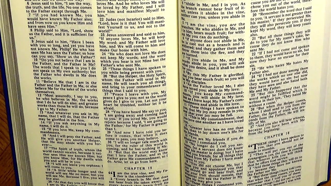 John 15, the New Testament