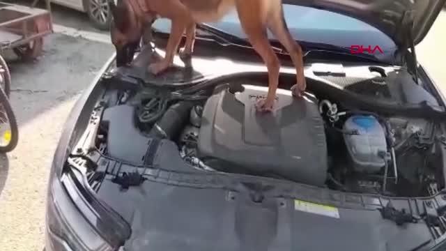 Son dakika haber... ARACIN KAPUTUNDAN UYUŞTURUCU ÇIKTI; 4 GÖZALTI