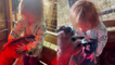 'Sweet little girl spends time with baby goats on her grandma's dairy farm '