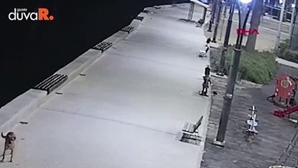 İzmir'de çocuk heykellerinin başını kırıp denize attı