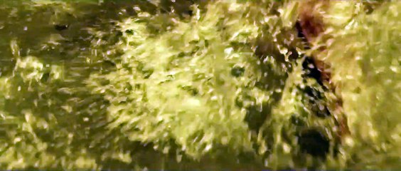 A Tale Of Love And Darkness - Extrait VO