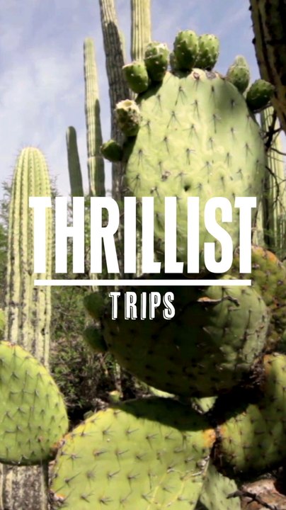 Mexico Thrillist Trips Mobile - NEW